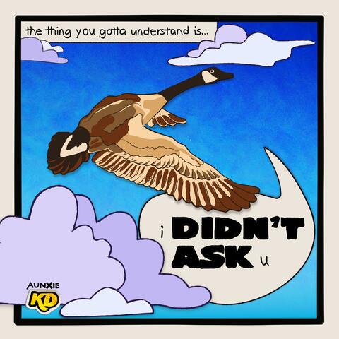 Didn't Ask album art