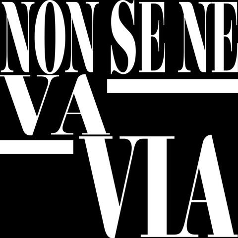NON SE NE VA VIA album art