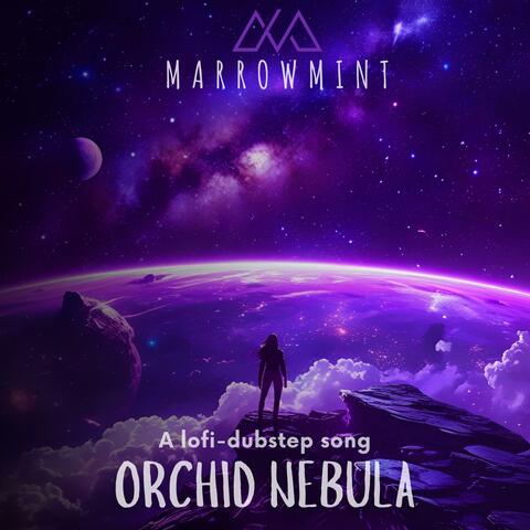 Orchid Nebula album art