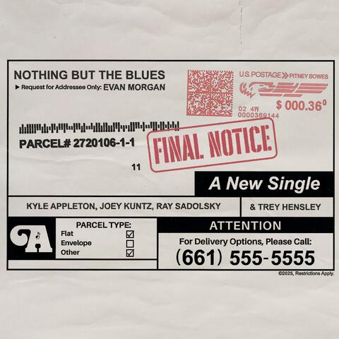 Nothing But The Blues album art