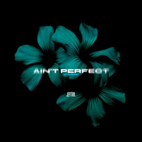 Ain't Perfect (Slowed) album art