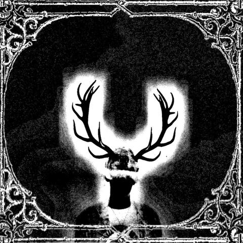 WHITE DEER album art