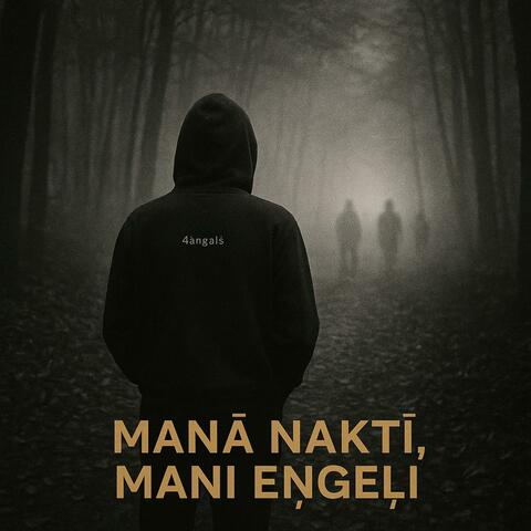 MANĀ NAKTĪ, MANI EŅĢEĻI album art