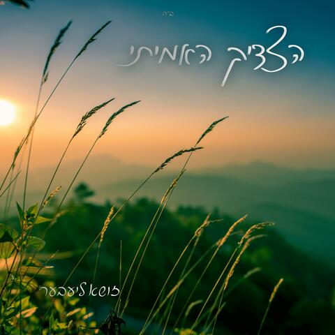 הצדיק האמיתי album art