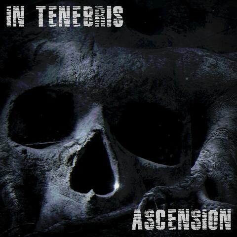 Ascension album art
