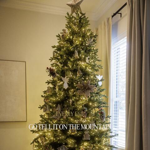 Go Tell It on the Mountain (Acoustic) album art