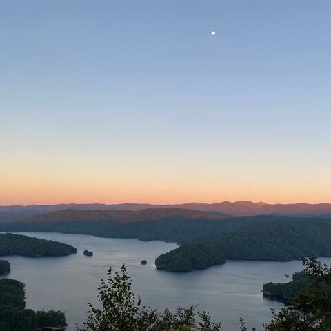 Carolina Son album art