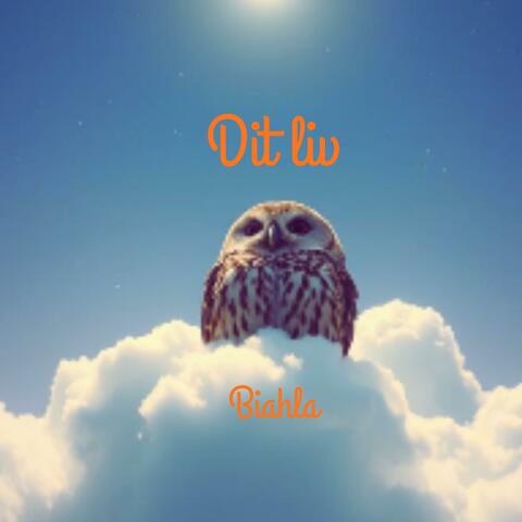 Helt ok nu album art