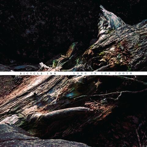Long in the Tooth album art