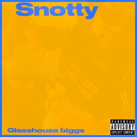 Snotty album art