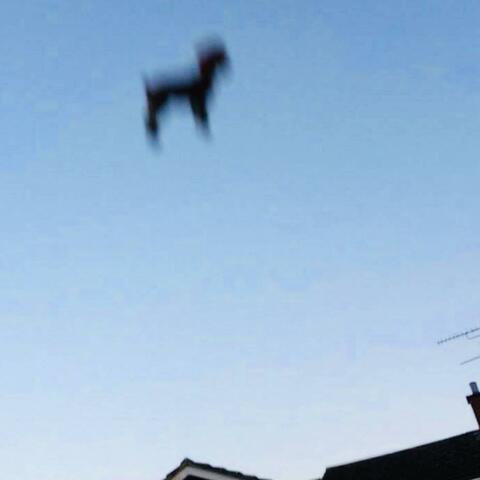 2019_VAULT album art