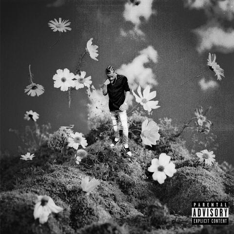 CHAOS IN PARADISE (FIORI EDITION) album art