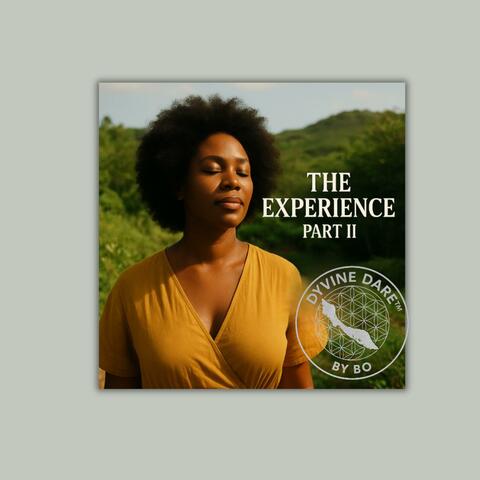 The Experience, part II album art
