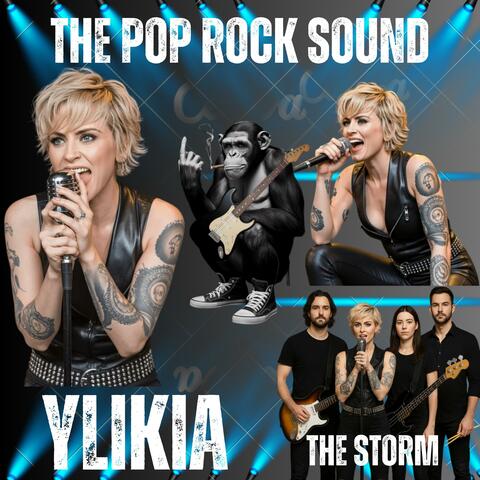 THE STORM album art