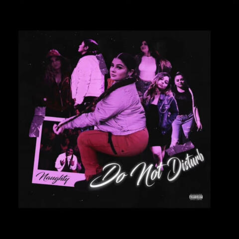 Please Do Not Distrub album art
