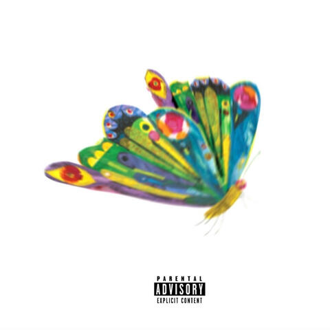 Butterfly album art