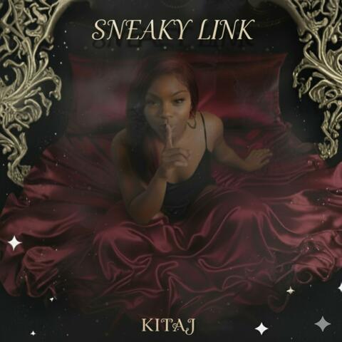 Sneaky Link album art