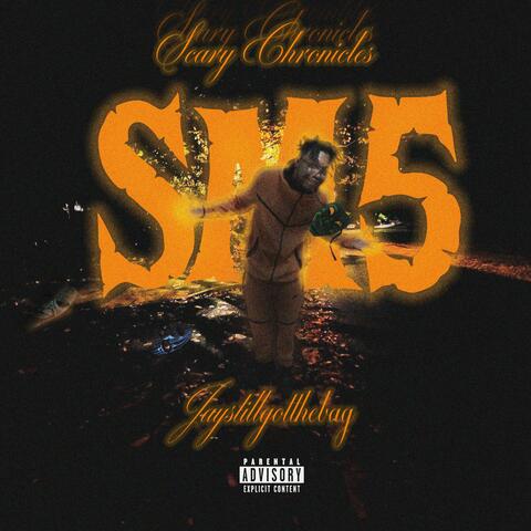 Šçàřý Ċhronicles album art