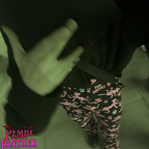 Pembe Panter album art