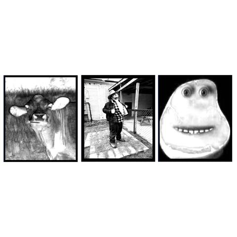 Grassfed Beef album art