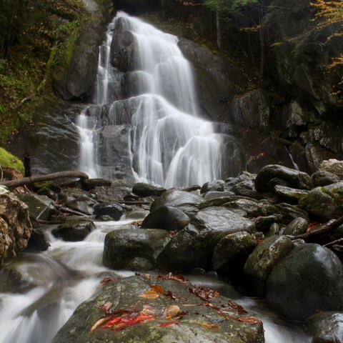 a waterfall of feeling album art