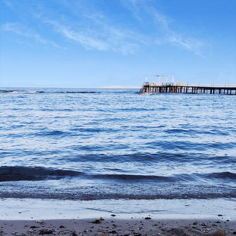 Come il mare.. album art