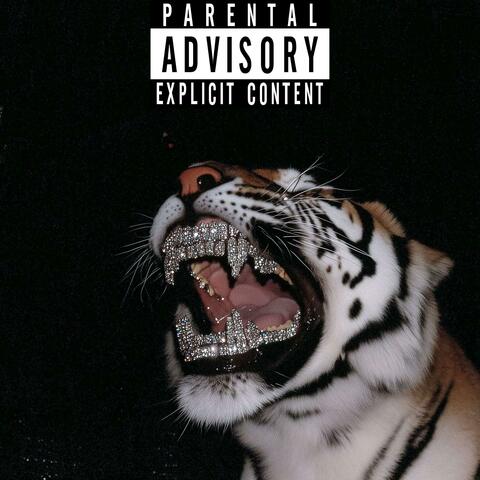 PARASOCIAL album art