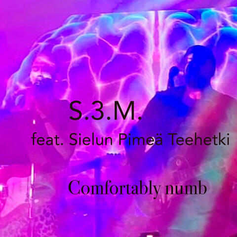 Comfortably numb (feat. Sielun Pimeä Teehetki) album art