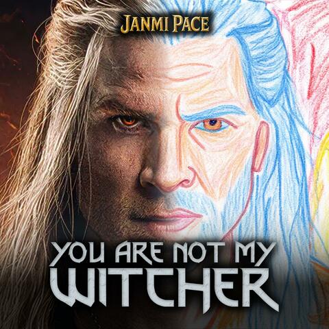 You are not my Witcher album art