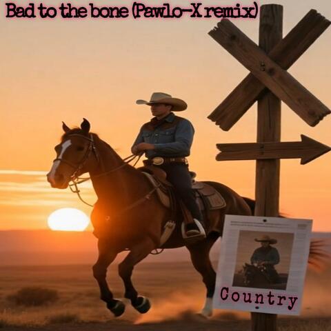 Bad to the Bone (Pawlo-X Country Remix) album art