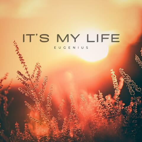 It's My Life album art