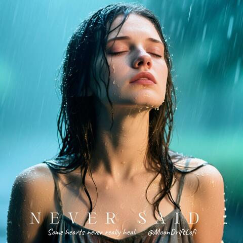 Never Said album art