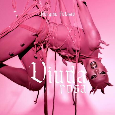 Viuda Rosa album art