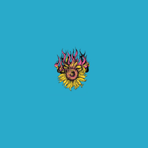 sunflowers album art