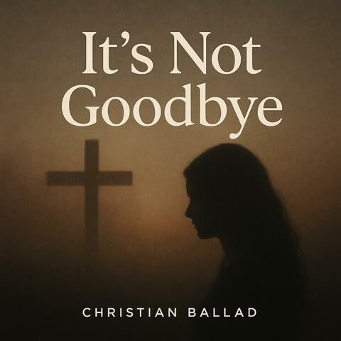It's Not Goodbye album art