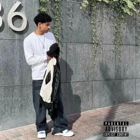 designer rugs (feat. niko!) album art