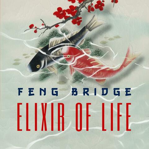 Elixir of Life album art