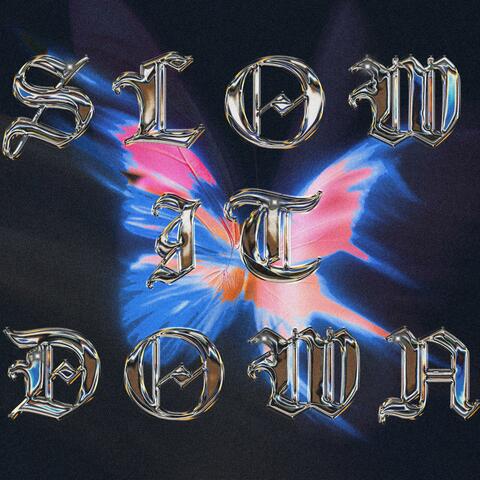 SLOW IT DOWN album art