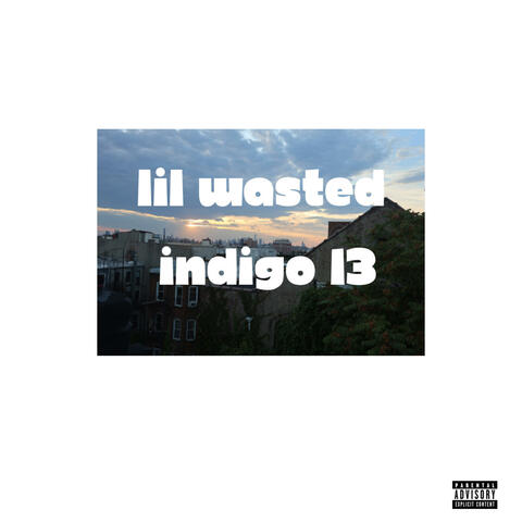 lil wasted album art