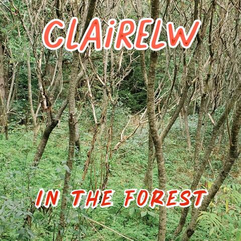 In The Forest album art