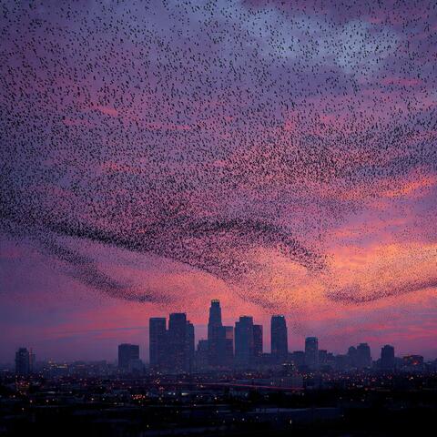 A Murmur Over L.A. album art