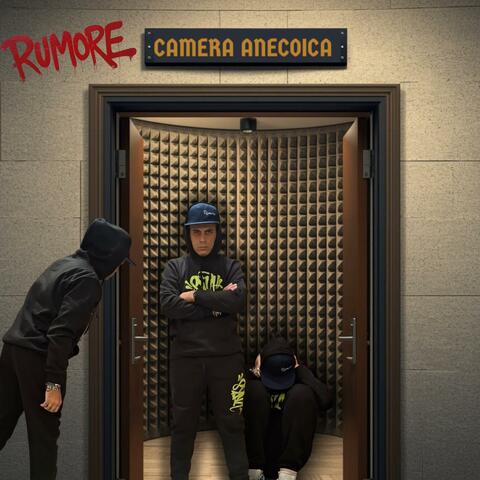 Camera anecoica album art