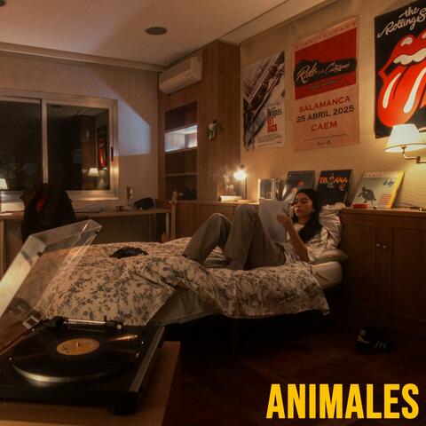 Cuando te quedes dormida album art