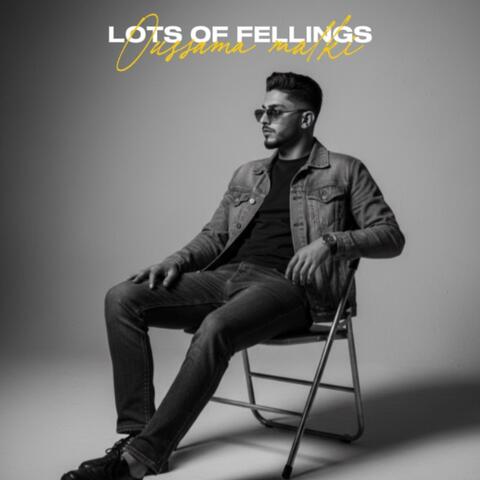 Lots of fellings album art