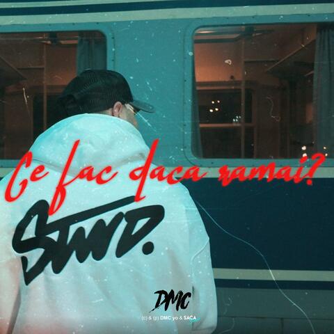 Ce fac daca ramai album art