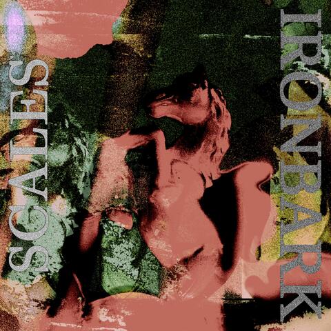 Scales album art