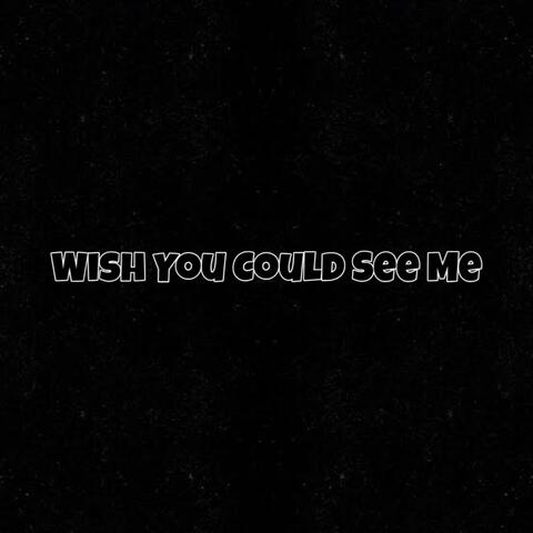 wish you could see me album art