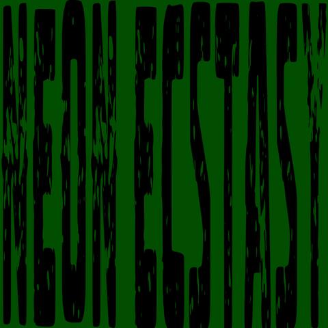 NEON ECSTASY album art