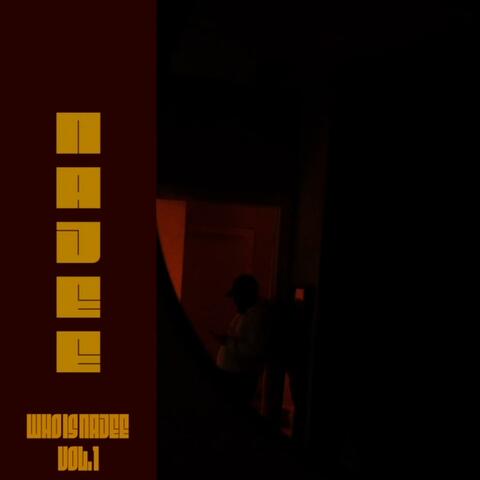 Who Is Najee vol 1 album art