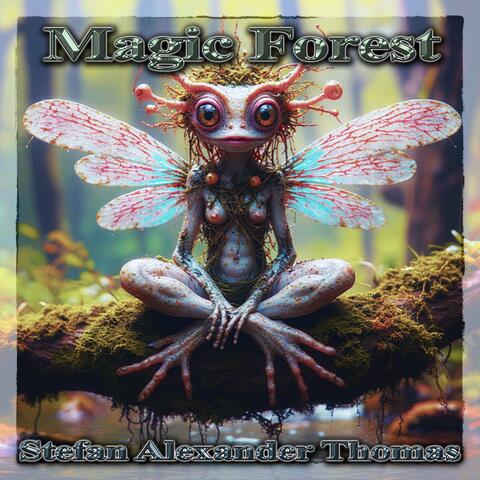 Magic Forest album art